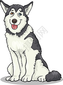 霍斯基或恶毒的狗漫画插图绘画尾巴动物吉祥物小狗舌头犬类宠物卡通片眼睛图片