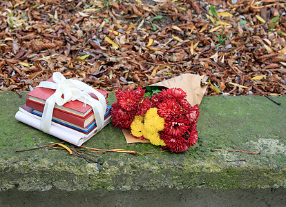 花束的菊香和一堆书植物群红色宏观植物白色黄色叶子图书花瓣季节图片