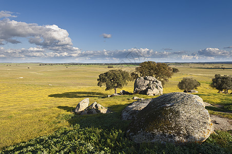 Aleentejo 地貌景观农村草地岩石天空农田农场蓝色地平线石头风景图片