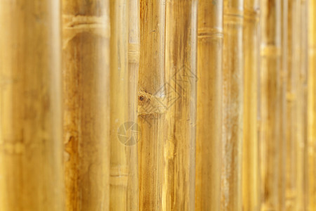 竹布墙背景装饰条纹黄色风格热带木头材料背景图片