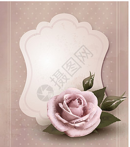 带粉红色玫瑰的回程贺卡 矢量插图花瓣废料笔记装饰记忆卡片脆弱性礼物纸板框架图片