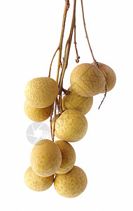 白底长方水果热带异国农业食物黄色食品龙眼情调营养图片