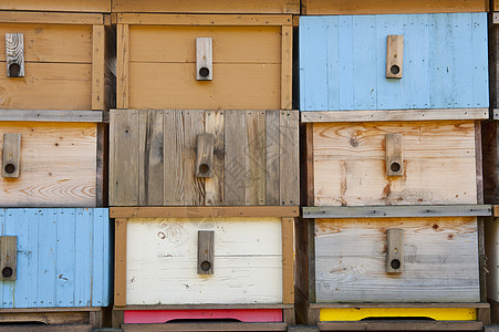 全新的新蜜蜂屋农场养蜂人蜂窝蜂房草地蜂蜜黄色红色盒子动物图片