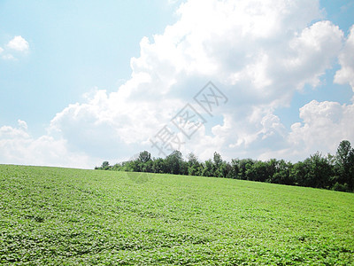 美丽的夏季风景环境太阳牧场土地季节树木农场森林城市天空图片