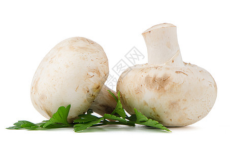 香格里翁蘑菇和树叶美食节食蔬菜叶子卫生宏观香菜保健小吃图片