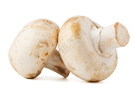 香农蘑菇小吃香菜保健蔬菜叶子美食节食卫生宏观图片