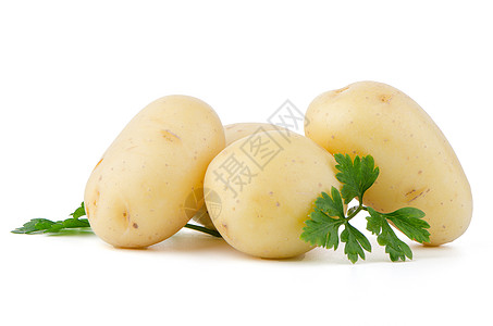 新的土豆和绿色鹦鹉糖类块茎小吃营养烹饪淀粉植物蔬菜农业香菜图片