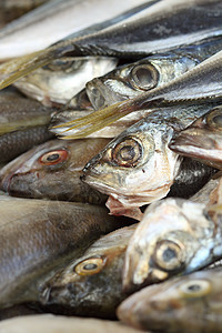 直肠蓝鱼饮食水平木头食物桌子眼睛市场内脏营养皮肤图片