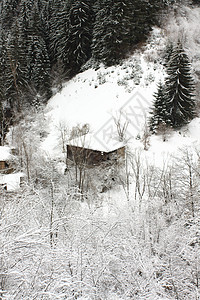 冬季风景森林国家木头童话降雪天气季节白色图片