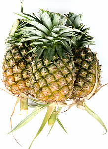 孤立的菠萝烹饪食品农场美食黄色健康白色热带植物学农业图片