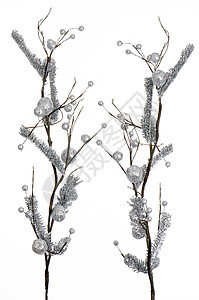 圣诞装饰银色叶宏观奢华装潢树叶灰色白色装饰品叶子棕榈图片