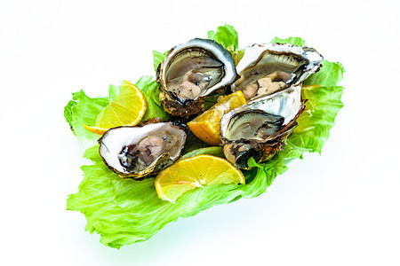 牡蛎食物贝类海洋午餐海鲜奢华贝壳营养壳类柠檬背景图片