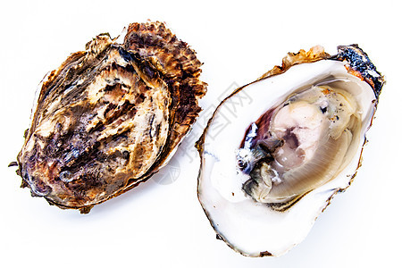 两只牡蛎海洋健康美食海鲜熟食午餐贝壳贝类食物奢华图片