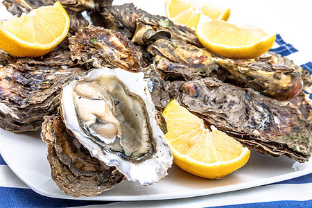 牡蛎贝类海洋奢华营养盘子壳类柠檬海鲜熟食午餐图片