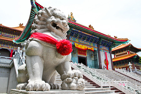 中国在不塔胡里中国寺庙的 狮子石雕像岩石金子宗教雕刻牙齿狮子历史石头王朝雕塑图片