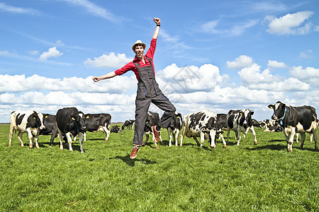 快乐的土豆农夫和他的奶牛在乡下图片