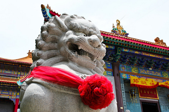 中国在不塔胡里中国寺庙的 狮子石雕像建筑建筑学狮子石头警卫牙齿宗教旅行王朝眼睛图片