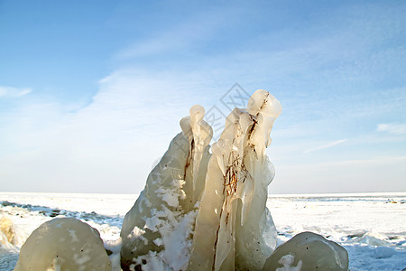 荷兰冬季荷兰IJsselmeer的冰花地平线寒冷温度冻结花朵水晶天气暴风雪地形阳光图片