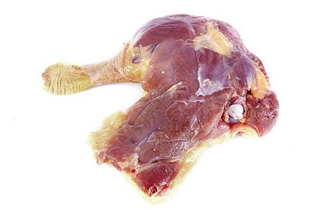 鸭腿家禽红肉食物工作室图片