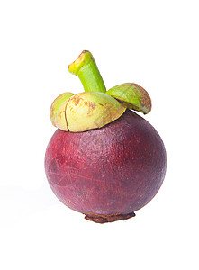 芒果水果和横截片 显示厚紫色皮肤山竹情调异国果汁美食食物白色女王圆形热带图片