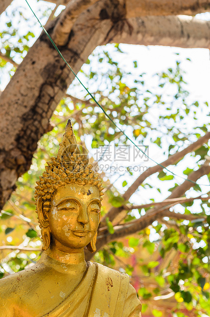 古佛祖寺庙雕像宗教黄色地标文化旅行崇拜精神扫管图片