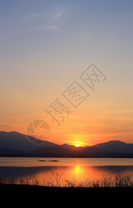 湖边的日落公园太阳鸭子蓝色海洋场景反射城市芦苇植物图片