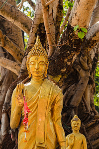 古佛祖崇拜文化精神艺术地标寺庙旅行黄色雕像宗教背景图片