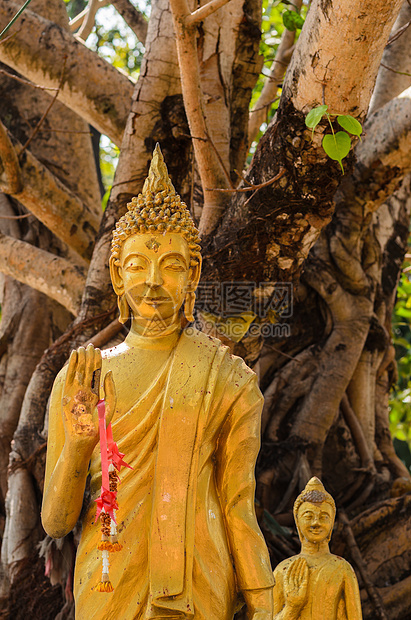 古佛祖崇拜文化精神艺术地标寺庙旅行黄色雕像宗教图片