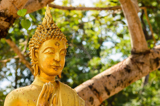 古佛祖精神历史性黄色地标艺术崇拜雕像旅行文化寺庙图片