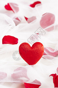 用玫瑰花瓣戴在婚纱上的红心婚礼礼物纪念日包装展示庆典白色面纱红色礼品图片