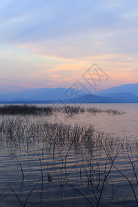 湖边的日落环影树高原太阳蓝色支撑环境松树射线日落场地居住图片