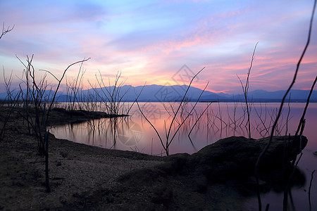湖边的日落环影树天空环境蓝色场地池塘高原松树地平线射线支撑图片