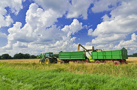 组合收割器农民力量国家天空蓝色蔬菜植物农场叶子拖拉机图片