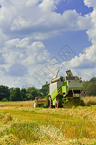 组合收割器运输力量大麦太阳蔬菜国家金子收成燕麦农业图片