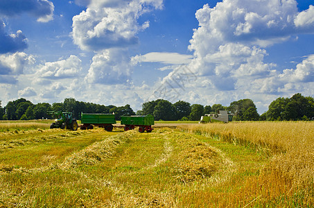 组合收割器收成场地植物大麦谷物聚宝盆粮食农民蓝色橙子背景图片