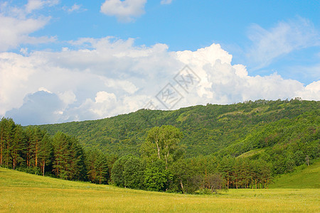 美丽的夏季风景天空场景季节阳光土地城市场地荒野叶子牧场图片