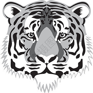 老虎头马戏团灰色眼睛黑色动物男性生物条纹艺术丛林图片