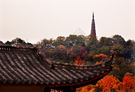 西杭州 浙江池湖西边的高铁屋顶图片
