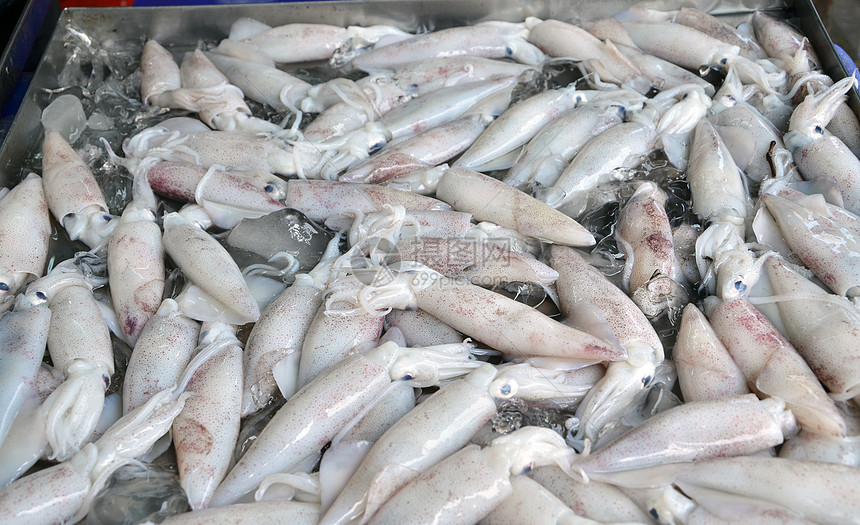 市场上的新鱿鱼市场触手钓鱼海鲜厨房章鱼动物海洋墨水头足类食物图片