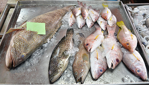 种类繁多的新鲜鱼海鲜海洋销售维生素餐厅美味食品市场钓鱼午餐厨房图片