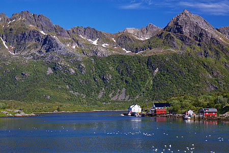 挪威的村庄图片