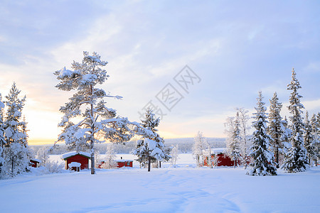 瑞典拉普兰冬季景观图片