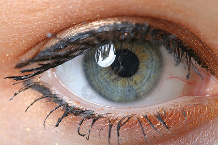 眼 目眼球黑色景点棕色瞳孔检查宏观监视轨道睫毛图片