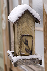 喂鸟器空鸟进食器上的雪背景