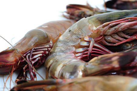 虎虾黑虎动物生食食物珍宝甲壳海鲜图片