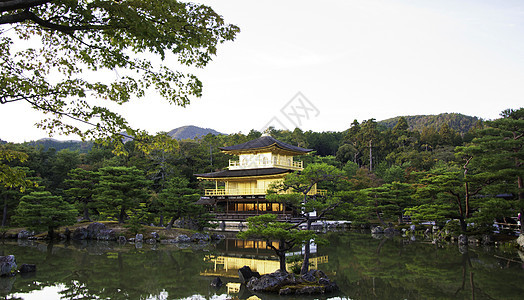 日本京都金角寺寺图片