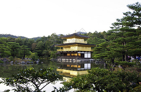 金宫寺金殿遗产佛教徒寺庙松树旅行建筑学文化建筑艺术花园图片