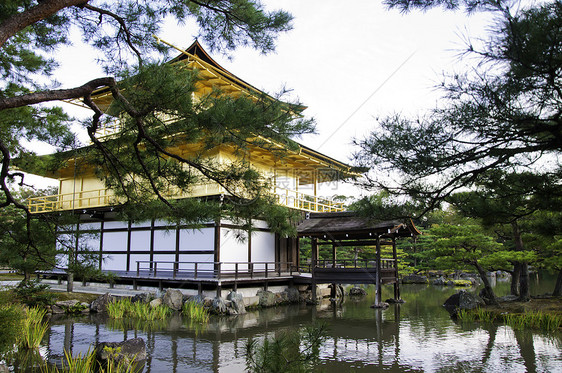 Kinkakuji(黄金馆) 日本京都图片