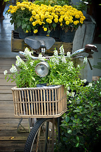 带有篮子花花的旧式自行车木头花园植物群背景图片