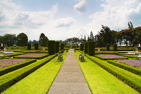欧洲花园途径椅子绿色背景图片
